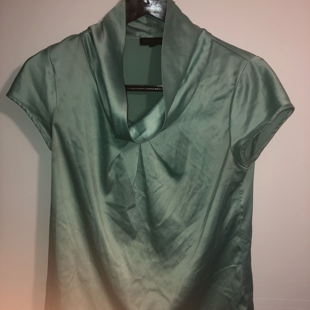 The Limited Blouse